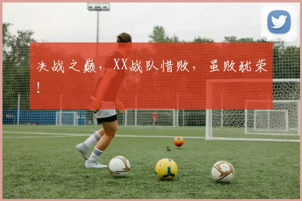 决战之巅,XX战队惜败,虽败犹荣!