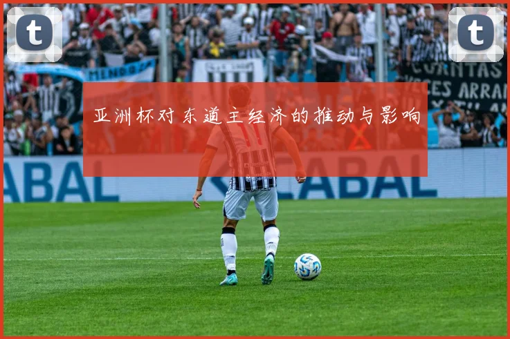 亚洲杯对东道主经济的推动与影响