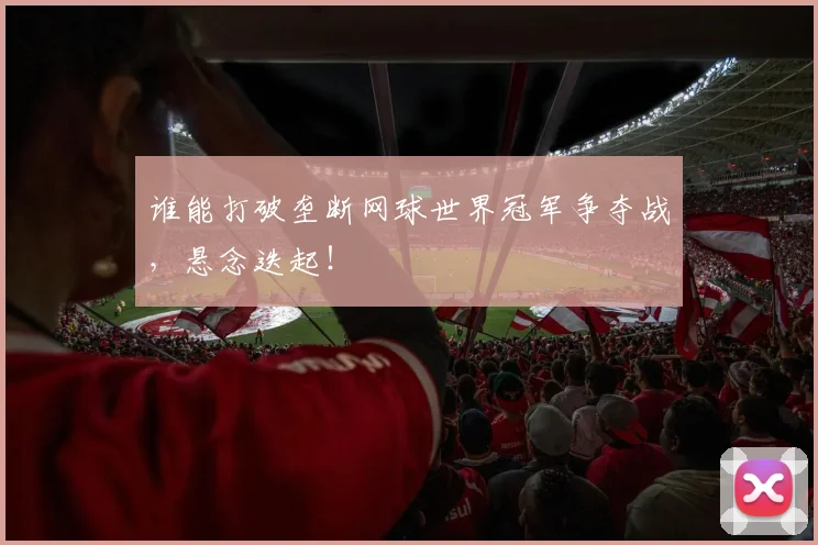 谁能打破垄断网球世界冠军争夺战,悬念迭起!